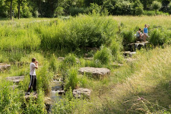 Fotografie - Bachlauf mit großen Stein-Findlingen