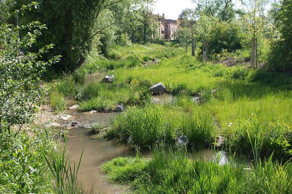 Hochwasserschutz Am Aubach - Gewässerteilstück unterhalb der Kirchwegbrücke nach Umgestaltung