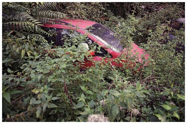 Fotografie Kunstwerk rotes Auto eingewachsen von Blättern und Bäumen