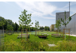 Fotografie - Sportplatz an der Ostseite, vor allem für Fuß-, Volley- und Faustball