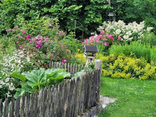 Fotografie: Garten mit Blumen