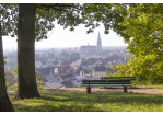 Fotografie: Blick vom Dreifaltigkeitsberg auf die Regensburger Altstadt