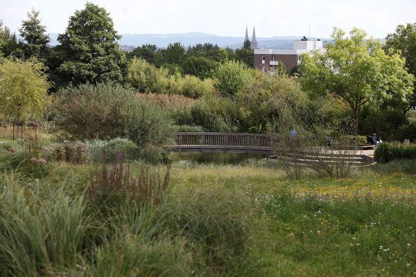 Fotografie - Blick über Park Richtung Dom