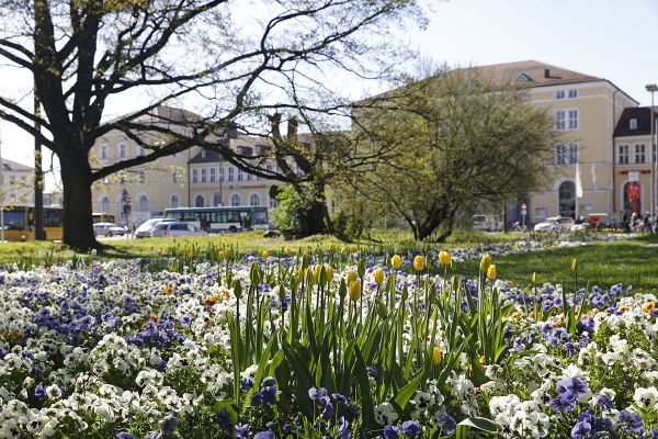 Fotografie - Blick auf Bahnhofsgebäude, im Vordergrund Blumen