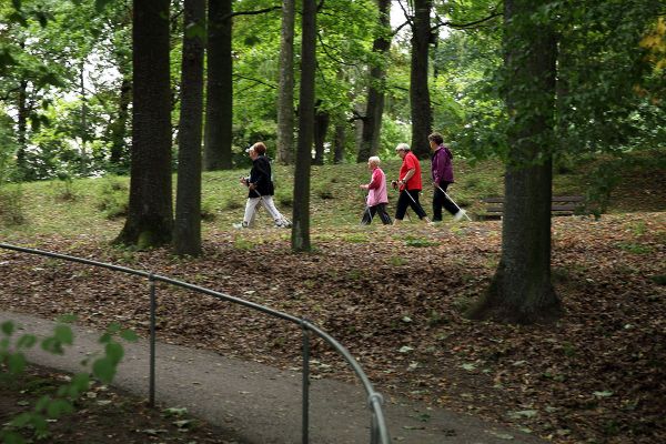 Fotografie - Walking-Gruppe