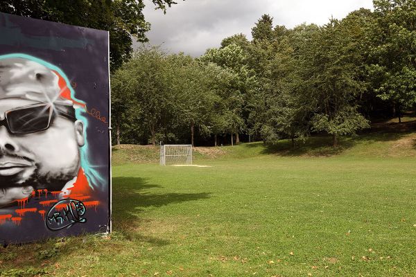 Fotografie - Wiese mit Fußballtoren