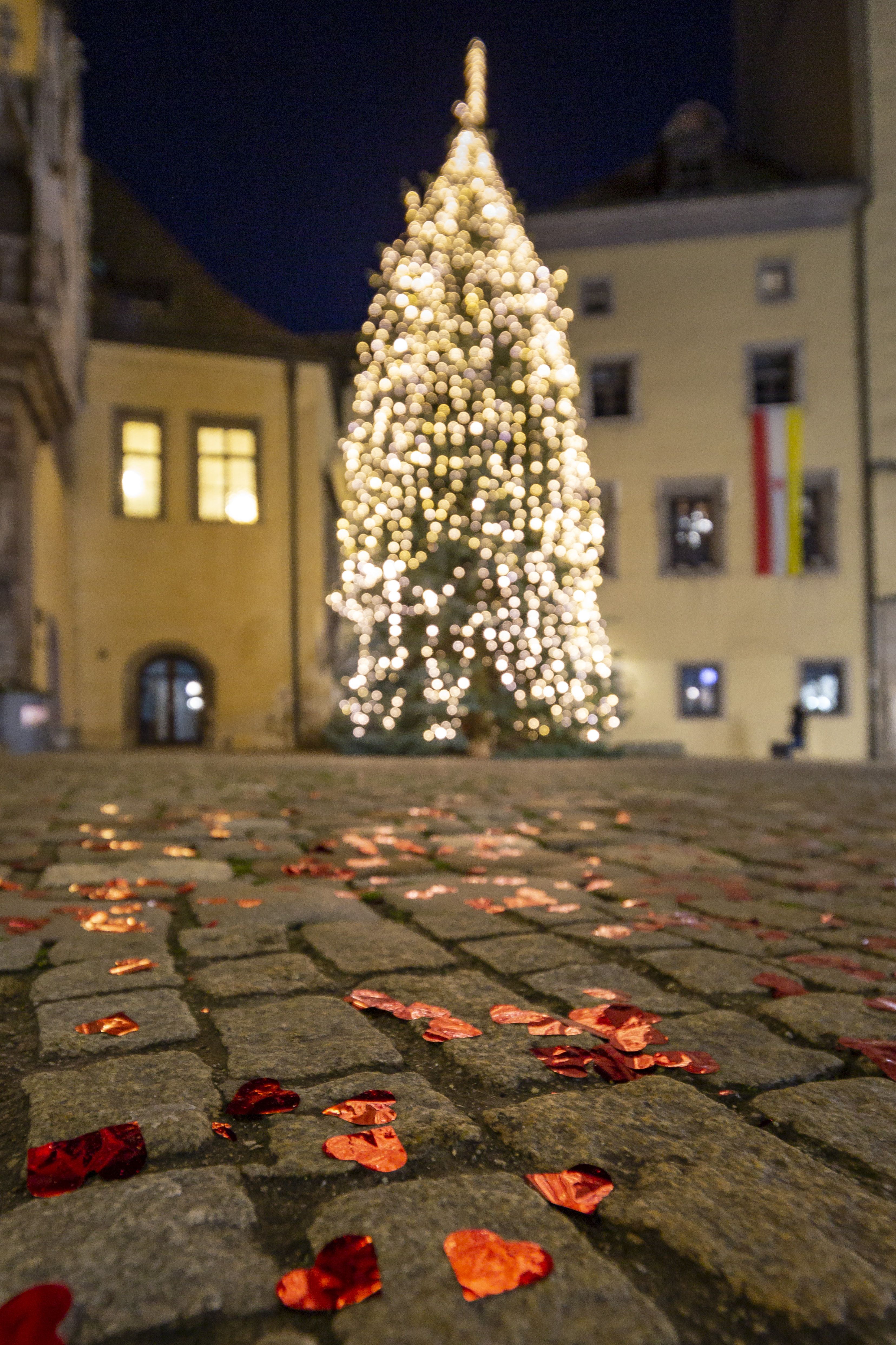 Fotografie: Beleuchteter Christbaum auf dem Rathausplatz