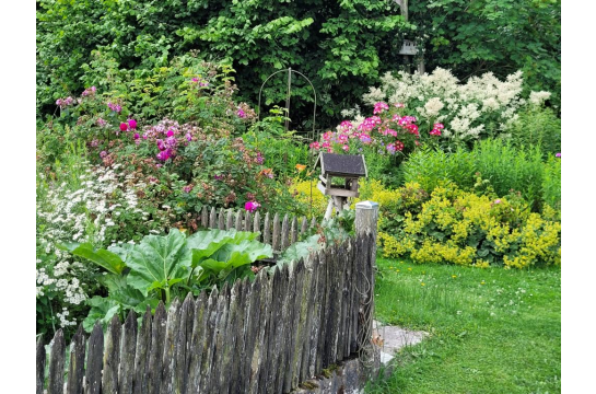 Fotografie: Garten mit Blumen