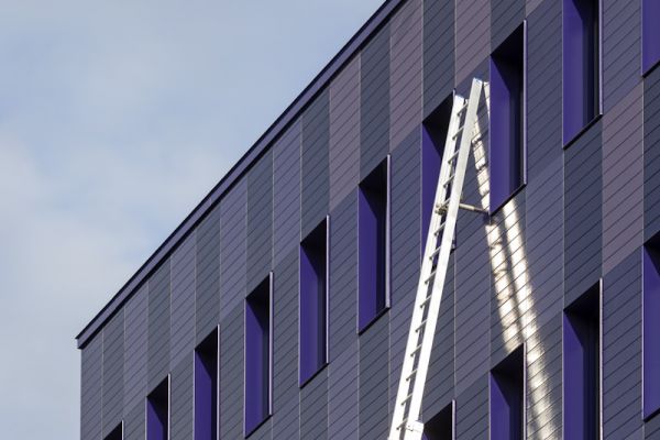 Fotografie - Hauptfeuerwache - Katze Luzy mit Leiter