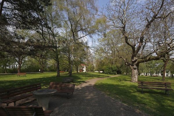 Fotografie - Sitzbänke im Park